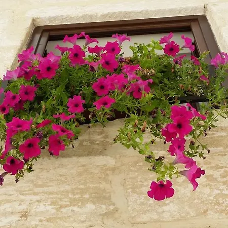 Daire Borgo Antico *
